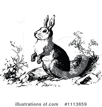 Royalty-Free (RF) Rabbit Clipart Illustration by Prawny Vintage - Stock Sample #1113659