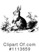 Rabbit Clipart #1113659 by Prawny Vintage