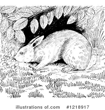 Rabbit Clipart #1218917 by Picsburg