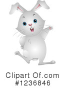 Rabbit Clipart #1236846 by BNP Design Studio