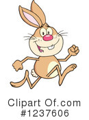 Rabbit Clipart #1237606 by Hit Toon