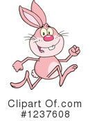 Rabbit Clipart #1237608 by Hit Toon