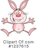 Rabbit Clipart #1237615 by Hit Toon