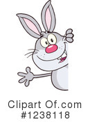 Rabbit Clipart #1238118 by Hit Toon