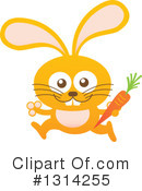 Rabbit Clipart #1314255 by Zooco