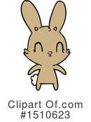 Rabbit Clipart #1510623 by lineartestpilot