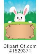 Rabbit Clipart #1529371 by visekart
