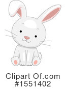 Rabbit Clipart #1551402 by BNP Design Studio