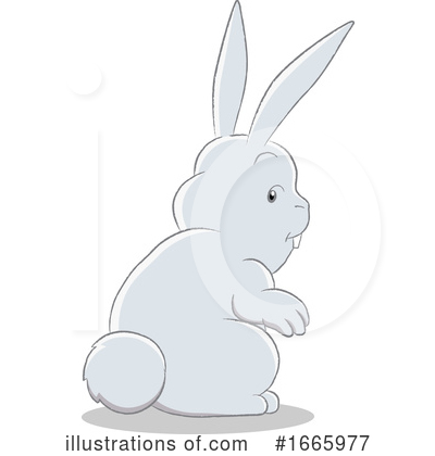 Rabbit Clipart #1665977 by cidepix