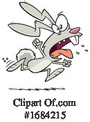 Rabbit Clipart #1684215 by toonaday