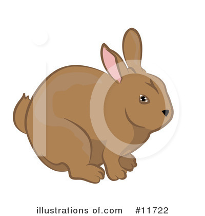Rabbit Clipart #11722 by AtStockIllustration