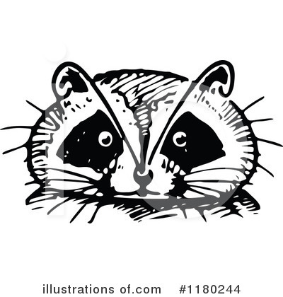 Raccoon Clipart #1180244 by Prawny Vintage