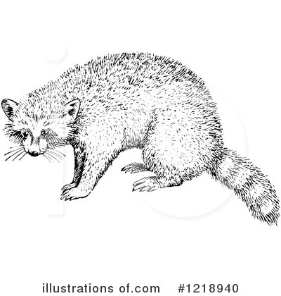 Royalty-Free (RF) Raccoon Clipart Illustration by Picsburg - Stock Sample #1218940