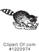 Raccoon Clipart #1220974 by Picsburg