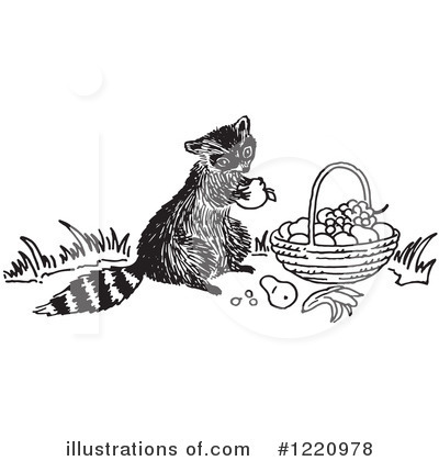 Royalty-Free (RF) Raccoon Clipart Illustration by Picsburg - Stock Sample #1220978