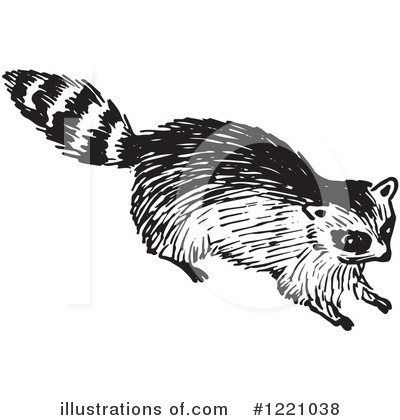 Raccoon Clipart #1221038 by Picsburg