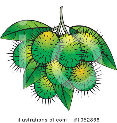 Royalty-Free (RF) Rambutan Clipart Illustration by Lal Perera - Stock Sample #1052866