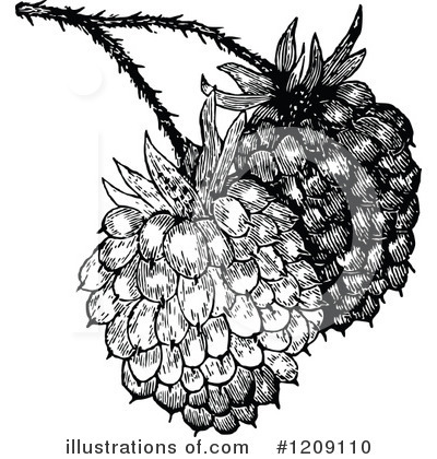 Royalty-Free (RF) Raspberry Clipart Illustration by Prawny Vintage - Stock Sample #1209110