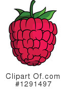 Raspberry Clipart #1291497 by Vector Tradition SM