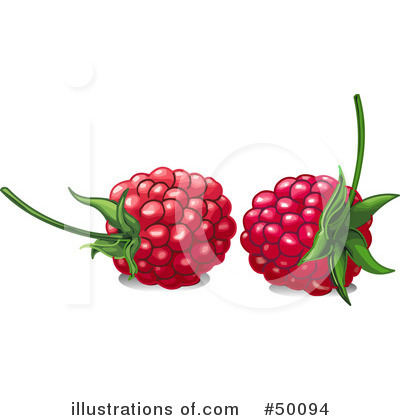 More Clip Art Illustrations of Raspberry