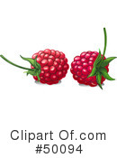 Raspberry Clipart #50094 by Pushkin