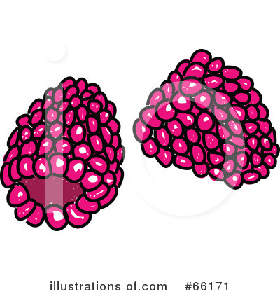 Royalty-Free (RF) Raspberry Clipart Illustration by Prawny - Stock Sample #66171