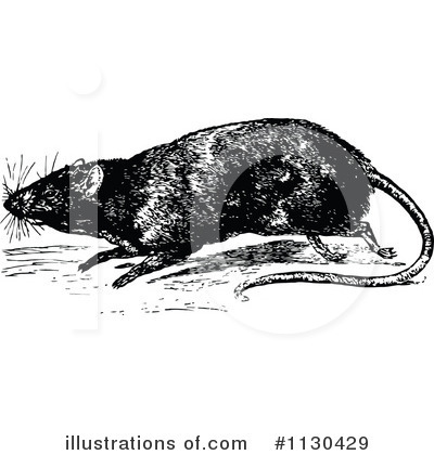 Royalty-Free (RF) Rat Clipart Illustration by Prawny Vintage - Stock Sample #1130429