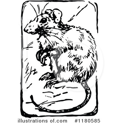 Royalty-Free (RF) Rat Clipart Illustration by Prawny Vintage - Stock Sample #1180585