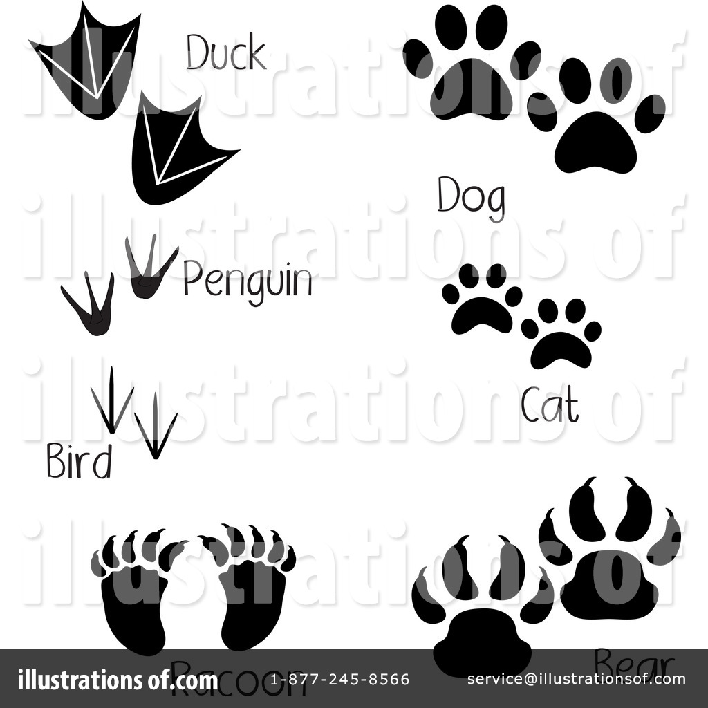 free clipart animal footprints - photo #43