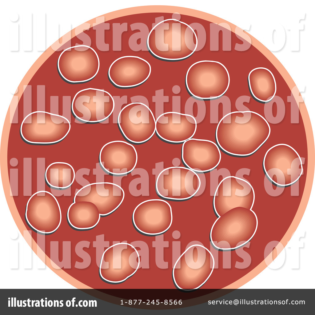 free clipart blood cells - photo #50