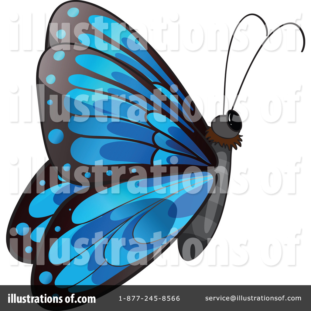 royalty free butterfly clipart - photo #41
