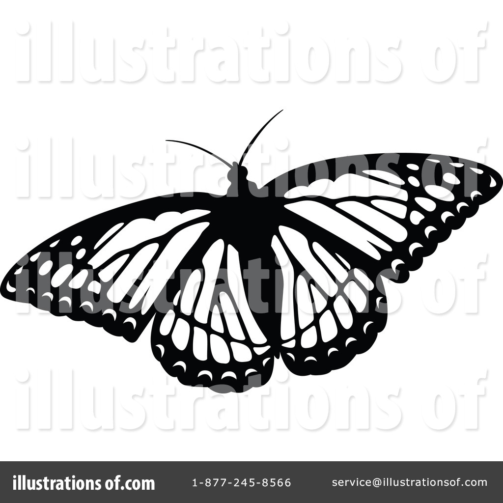 royalty free butterfly clipart - photo #42