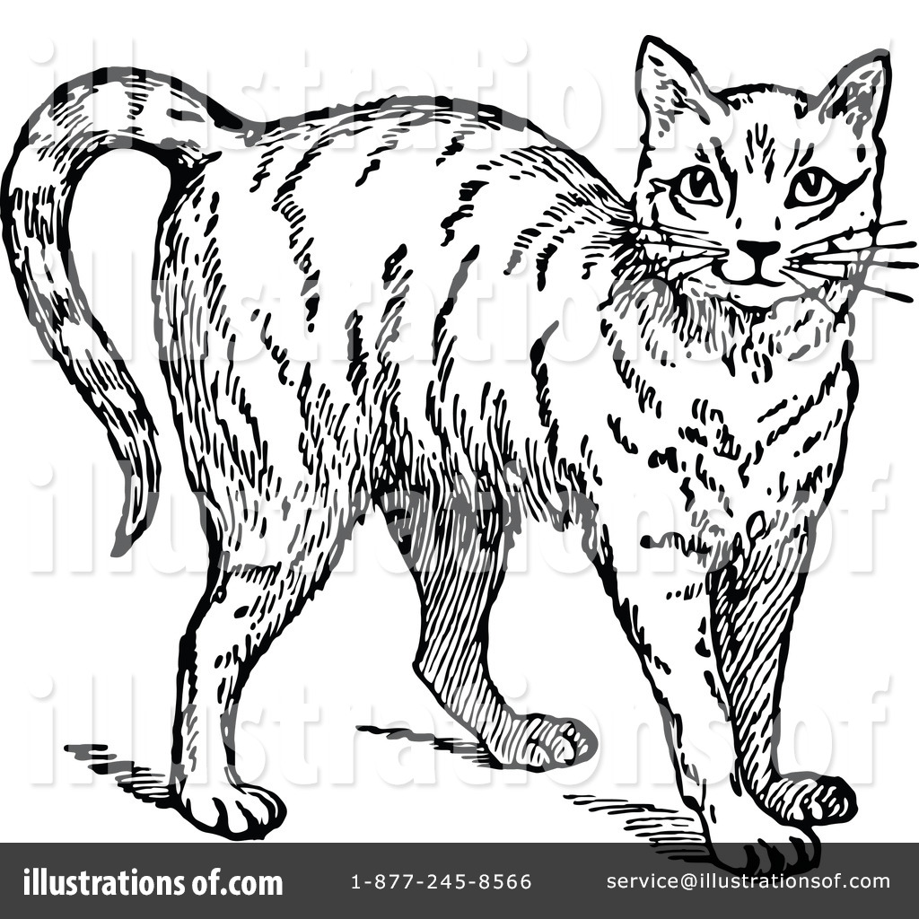 royalty free clipart cat - photo #21