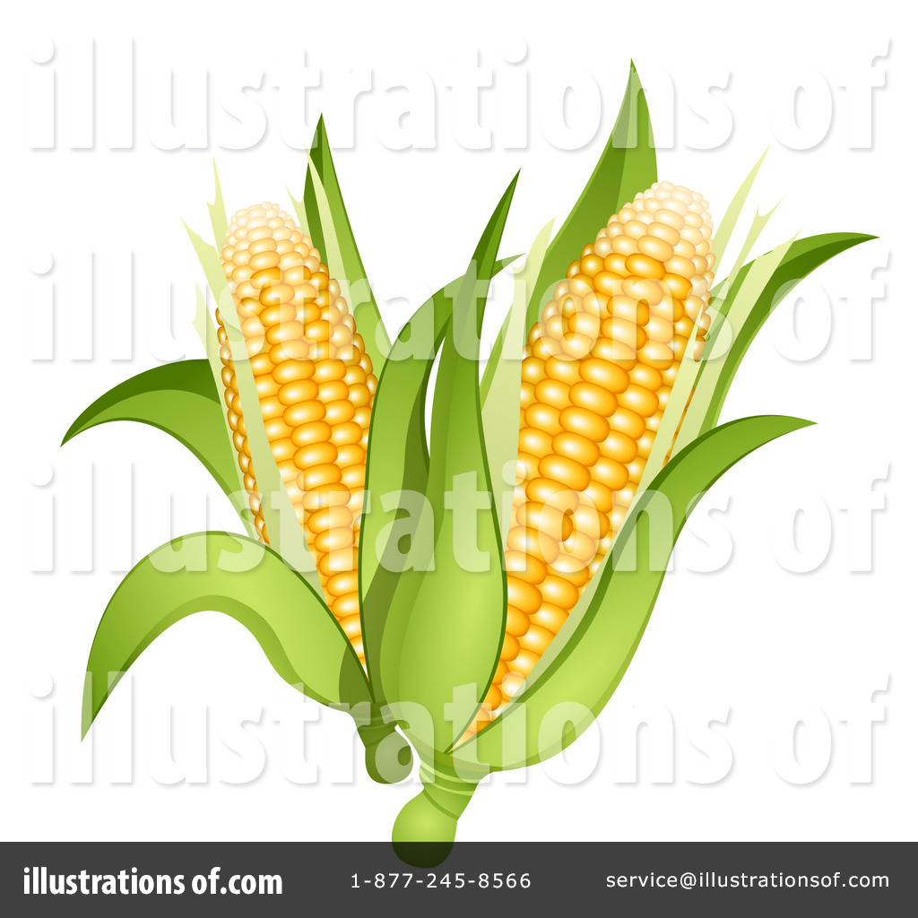 free clipart ear of corn - photo #34
