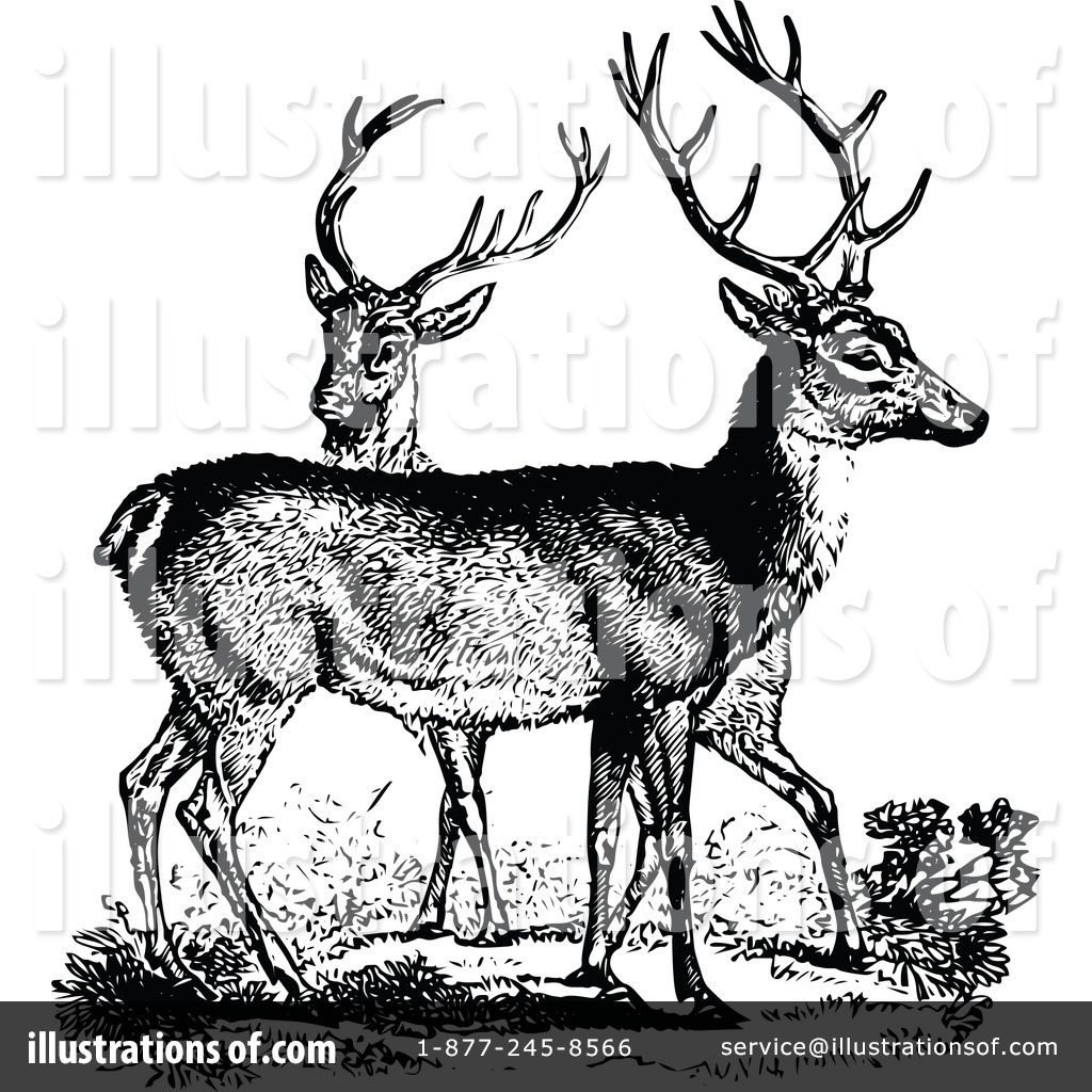 vintage deer clip art - photo #49