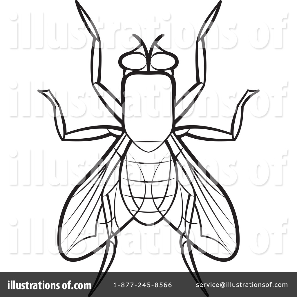fly clipart black and white - photo #43