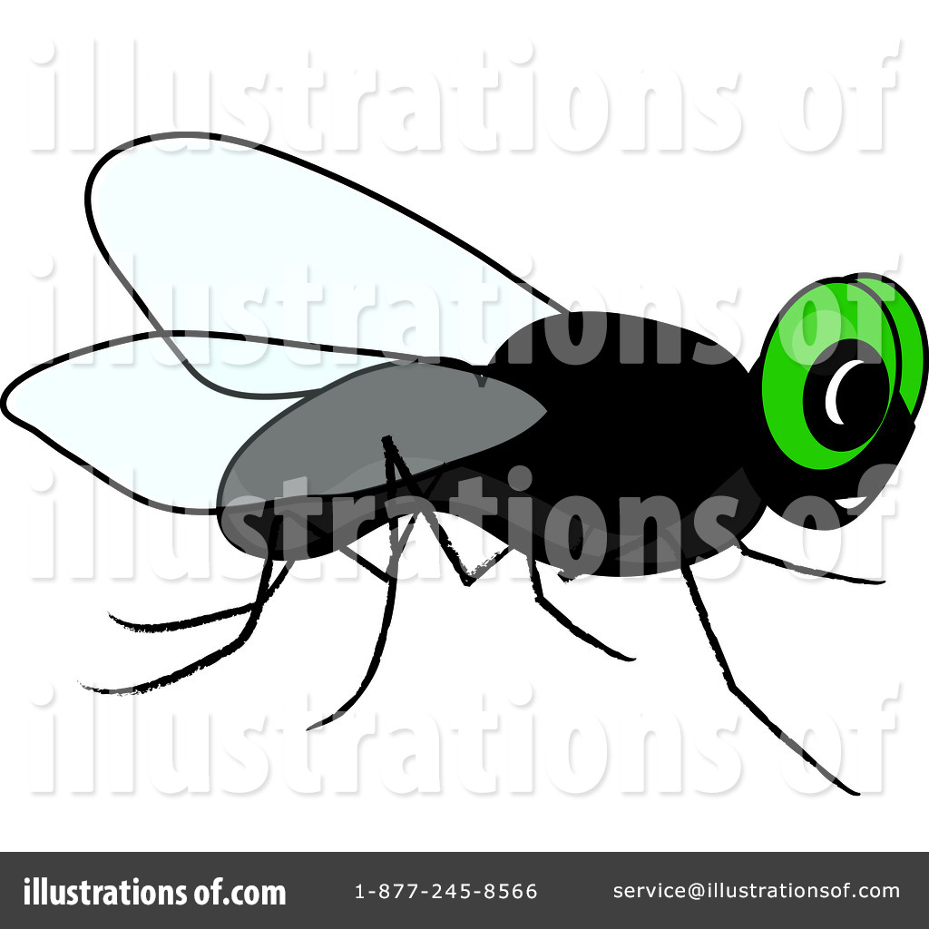 clipart of house fly - photo #38