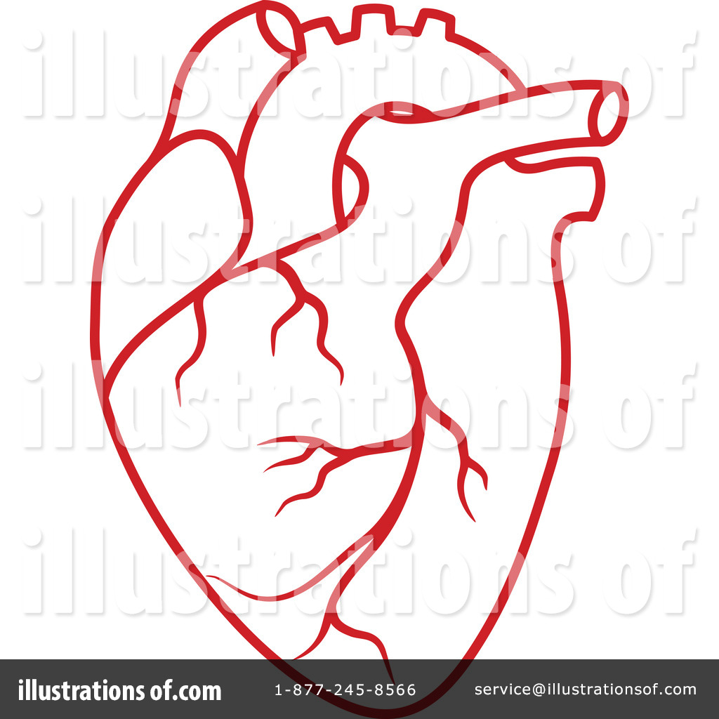 clipart of human heart - photo #44