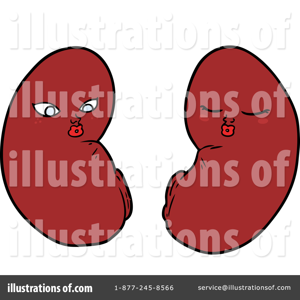 Kidneys Clipart #1553841 - Illustration by lineartestpilot