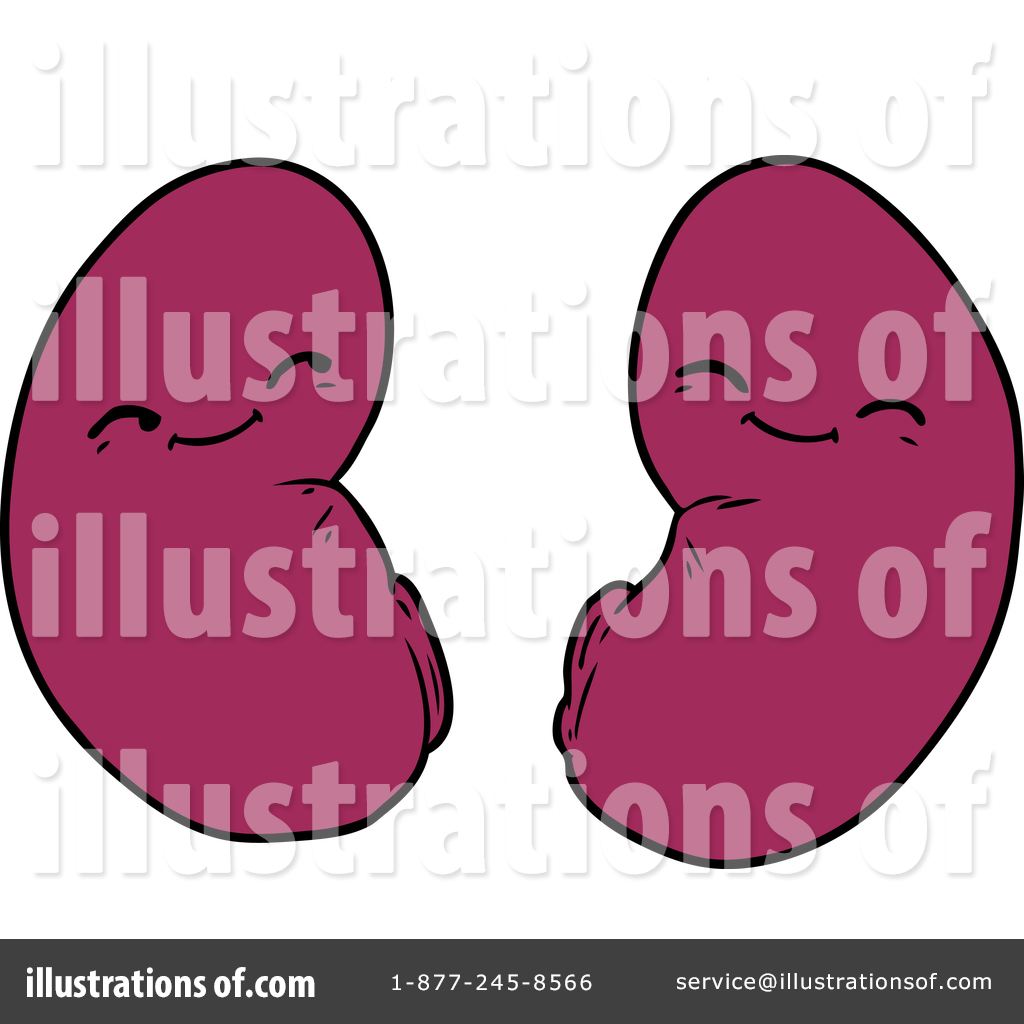 Kidneys Clipart #1553845 - Illustration by lineartestpilot