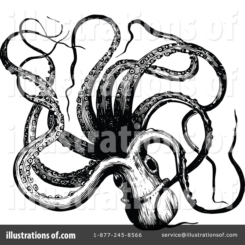 vintage octopus clipart - photo #26