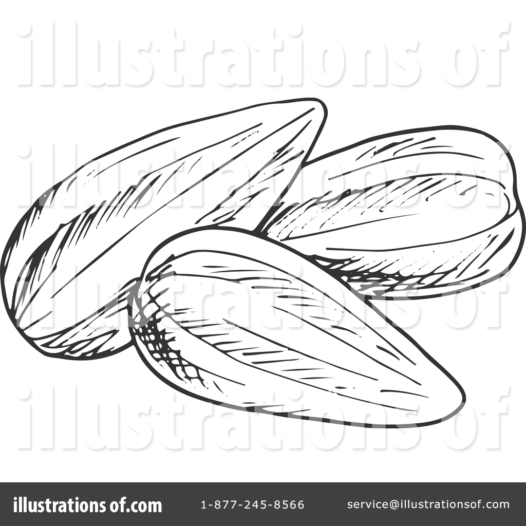 Sunflower Seed Clipart #1382478 - Illustration by Vector ...