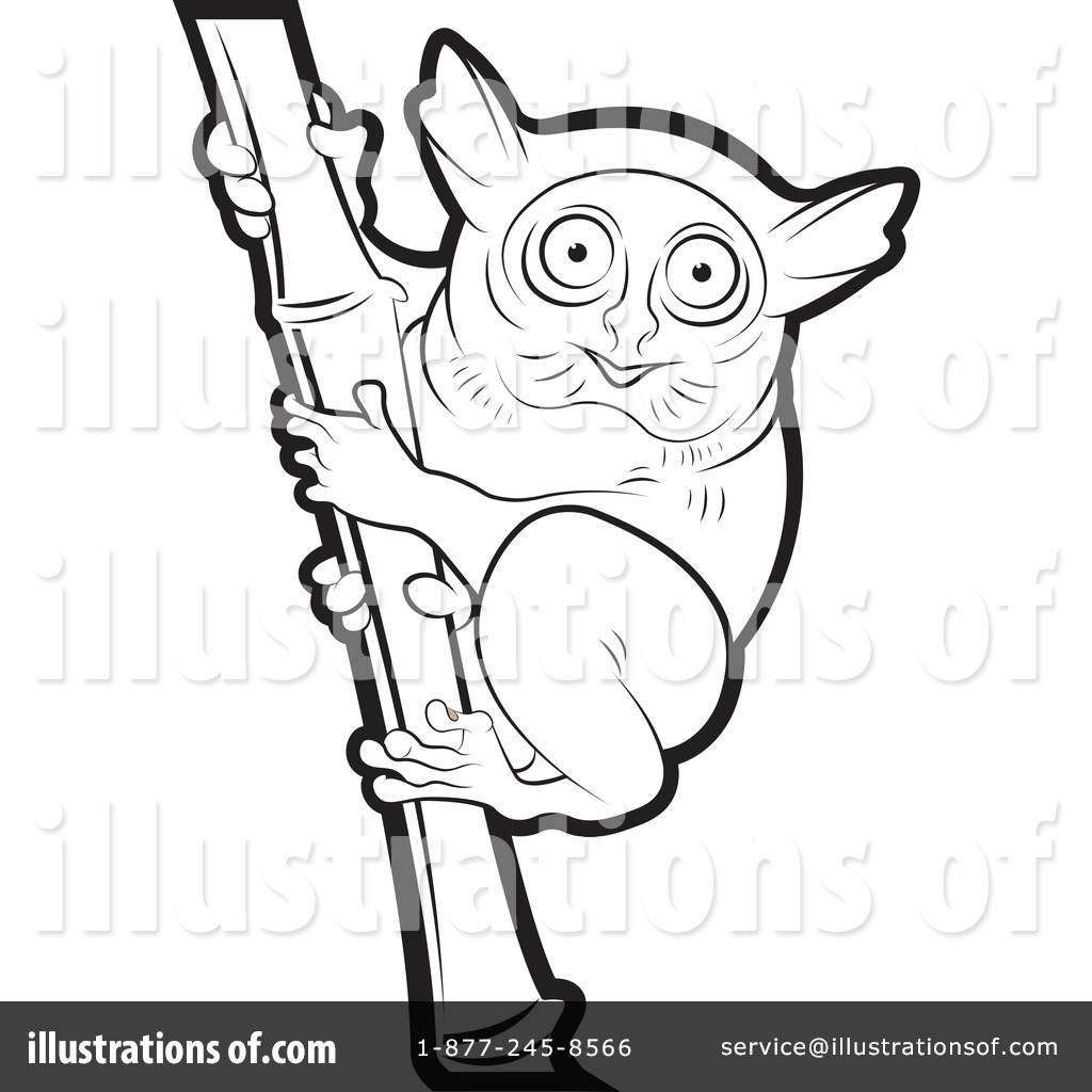tarsier coloring pages - photo #12