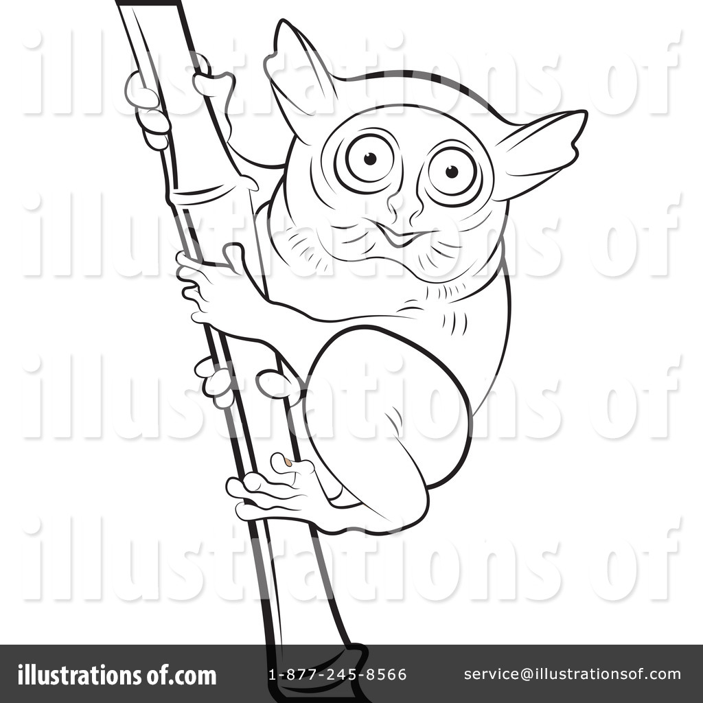 tarsier coloring pages - photo #11