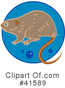 Rodents Clipart #41589 by Prawny