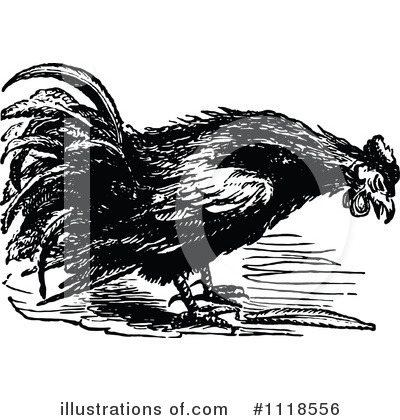 Chickens Clipart #1118556 by Prawny Vintage