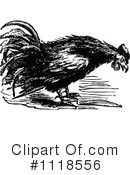 Rooster Clipart #1118556 by Prawny Vintage