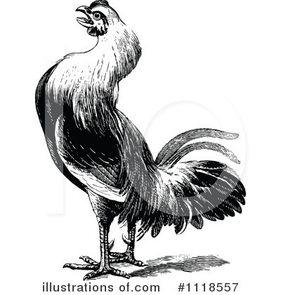 Royalty-Free (RF) Rooster Clipart Illustration by Prawny Vintage - Stock Sample #1118557