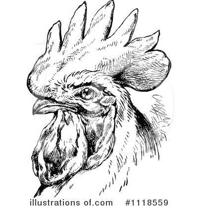 Royalty-Free (RF) Rooster Clipart Illustration by Prawny Vintage - Stock Sample #1118559