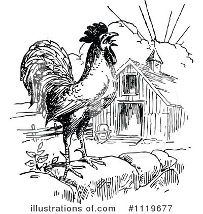 Chicken Clipart #1119677 by Prawny Vintage